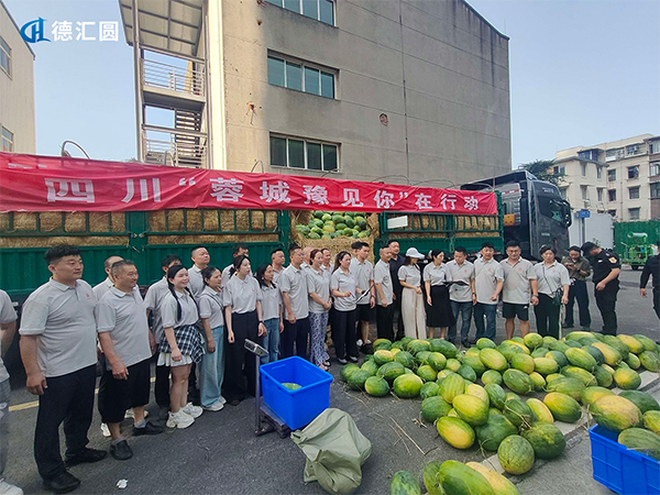 践行社会责任 情系家乡发展 | 德汇圆创始人梁水才带队完成近60吨河南老家助农西瓜帮扶行动